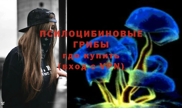ECSTASY Алзамай