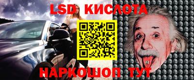 твердый Кингисепп