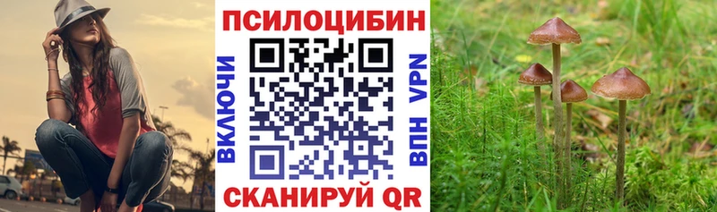 Галлюциногенные грибы прущие грибы  Саянск 
