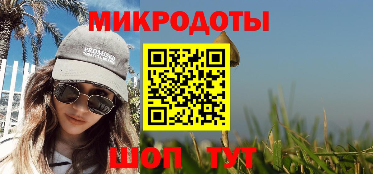 Саянск  Псилоцибиновые грибы Psilocybe  Вход с VPN 